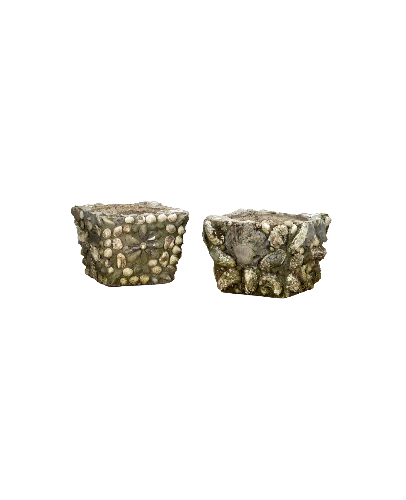 Shell Planters - Image 2