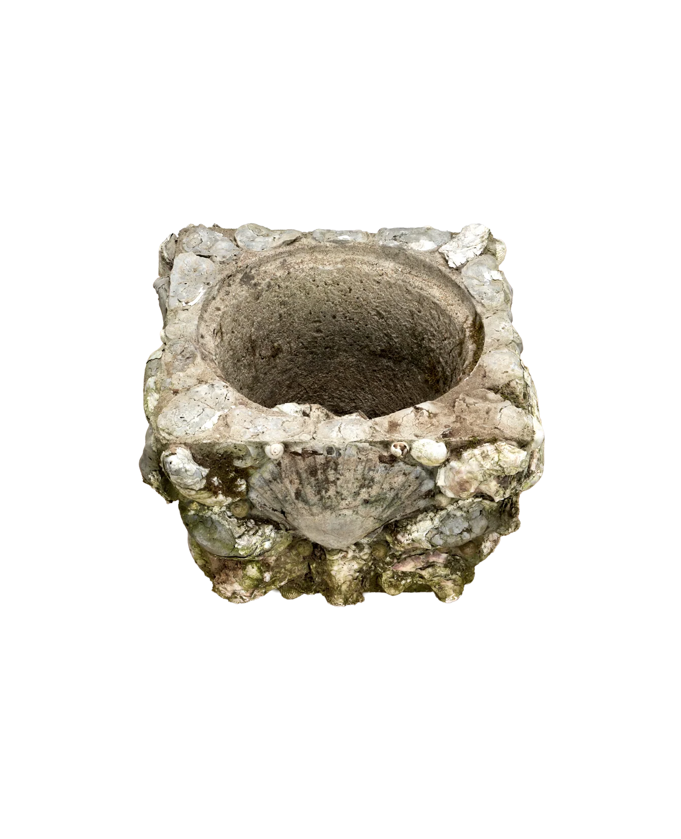 Shell Planters - Image 3